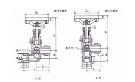 阀门优点解剖