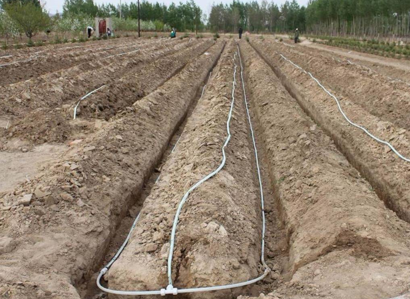 PE灌溉管